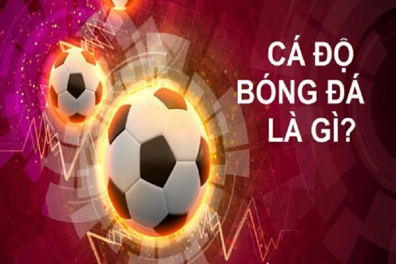 Cập nhật tin bong da 24h với những diễn biến tin bong da 24h mới nhất hôm nay