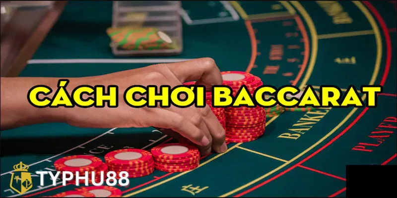 Cập nhật thông tin giáo dục mới nhất giúp nâng cao kiến thức thông tin giáo dục mỗi ngày