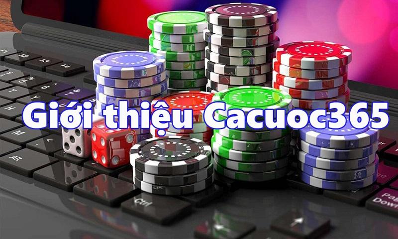 Giải mã 3 4 là gì và ý nghĩa của con số này trong các trò chơi cá cược